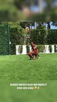 梅西爱犬：摊上这么一个球王主人，真的会怀疑&ldquo;狗生&rdquo;😄